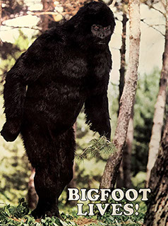 Bigfoot fan artwork.