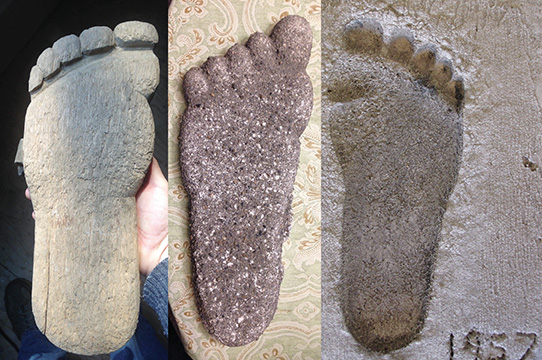 Three different but similar footprints.